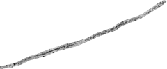 LawrenceNDII.png
