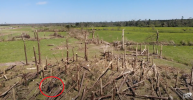 Bassfield-damage-axle.png