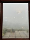 IMG_7383.jpeg