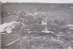andover-f5-tornado-golden-spur.png