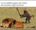 E3672353-D217-4E89-B59E-95564359C3AC.jpeg
