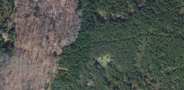 1_zpsc544c568.gif