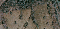 4-27-2011 Hackleburg tornado.gif