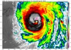 cat 4 helene.jpg