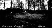 IMG_0443.jpeg