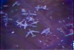 IMG_0659.jpeg