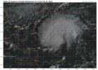 goes16_vis_94L_202410191157.gif