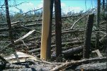IMG_1062.jpeg