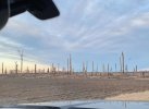 IMG_3902.jpeg
