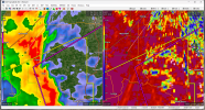 SGF_0017_CC.png