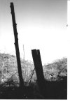 IMG_1082.jpeg