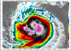 Screenshot 2024-11-13 11.05.49 AM.png