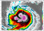Screenshot 2024-11-13 11.16.53 AM.png