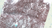 Screenshot_3small.png