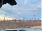 IMG_5135.jpeg
