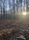 IMG_7068.jpeg