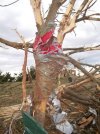 1736362647957.jpeg