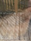 20250110_025951.jpg