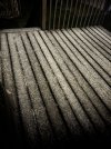 IMG_7962.jpeg