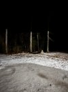 IMG_4045.jpeg