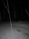 IMG_4046.jpeg