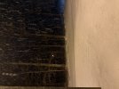 IMG_0820.jpeg