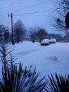 20250110_064926.jpg
