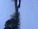 IMG_2773.jpeg