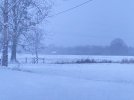 IMG_2819.jpeg