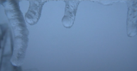 1736517735761.png