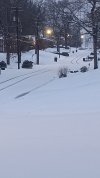 20250110_065348.jpg