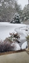 20250110_082130.jpg