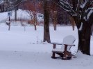 IMG_20250110_065841.jpg
