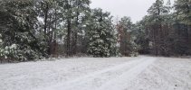 20250110_085520.jpg