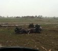IMG_5849.jpeg