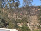 IMG_0595.jpeg