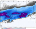nam-218-all-mobile-total_snow_10to1-7558000.png