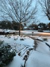 IMG_5977.jpeg