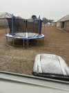 IMG_6981.jpeg
