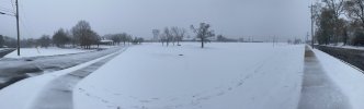 IMG_3555.jpeg