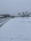 IMG_3554.jpeg