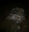 1737991845347.png