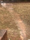 IMG_4211.jpeg