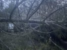 IMG_0856.jpeg