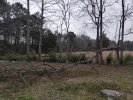 IMG_20250304_160205277.jpg