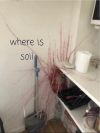 1741142344151.png 1741142344151.png