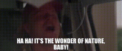 1741758677326.gif