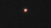 20250314_020038.jpg