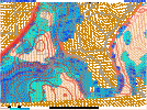 IMG_2382.gif