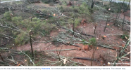Screen Shot 2025-03-15 at 5.04.10 PM.png